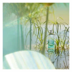 Hermès Hermes Un Jardin Sur Le Nil Eau De Toilette Spray -Cosmetica Discountwinkel 1013545 3