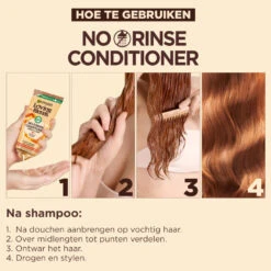6x Garnier Loving Blends No Rinse Conditioner Argan & Camelia -Cosmetica Discountwinkel 1035541 3