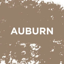 L'Oreal Lu0027Oréal 24H Brow Filling Triangular Pencil 5.23 Auburn 9 L'Oreal Lu0027Oréal 24H Brow Filling Triangular Pencil 5.23 Auburn -Cosmetica Discountwinkel 1071952 5